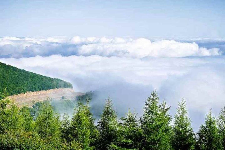 رضایی